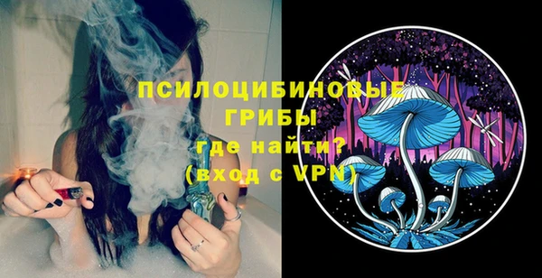 ПСИЛОЦИБИНОВЫЕ ГРИБЫ Алексеевка
