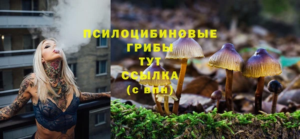 apvp Алексин